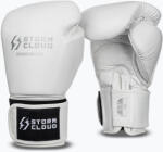 StormCloud Mănuși de box StormCloud Muay Thai Blizzard 2.0 white/silver