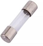 ESKA Siguranta lenta cu intarziere 6.3A 250VAC 5x20 mm cilindrica sticla ESKA 522.525 (522.525)