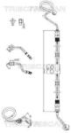 TRISCAN Furtun hidraulic, sistem de directie TRISCAN 8516 29078 (8516 29078)