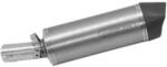 Arrow Exhaust Tobă finală ARROW Maxi Race-Tech pentru BMW R 1200 R / RS 2015-2016, Titan (AR-71842PK)
