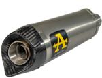 Arrow Exhaust Tobă finală ARROW Thunder pentru Yamaha YZF R6 2006-2016, Titan (AR-71701PK)