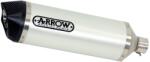 Arrow Exhaust Tobă finală ARROW Race-Tech pentru Ducati Monster 821 2018-2020, Aluminiu (AR-71877AK)