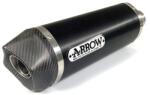 Arrow Exhaust Tobă finală ARROW Race-Tech pentru Ducati Monster 1200/1200R/1200S 2016-2020, Aluminiu închis (Dark) (AR-71850AKN)