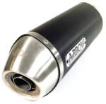 Arrow Exhaust Tobă finală ARROW Race-Tech pentru Kawasaki VERSYS 1000 2012-2016 (AR-71795AON)