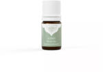 Panarom Jázmin olaj 10% (Jasminum officinalis) - 5 ml - wellnessvital