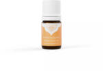 Panarom Keserűnarancs-virág olaj 10% (Citrus aurantium fl. ) - 5 ml - wellnessvital