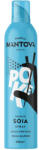 Mantova - Szója szósz spray 100 ml - wellnessvital