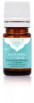 Panarom illóolaj - rozmaring ct cineol, 5 ml, bio (Rosmarinus officinalis ct cinéole) - wellnessvital