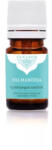 Panarom illóolaj - pálmarózsa, 5 ml (Cymbopogon martinii) - wellnessvital