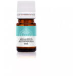 Panarom illóolaj - teafa, 10 ml, (Melaleuca alternifolia)