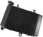 Moretti Radiator VOGE 300R 300DS (CHLVOG006)