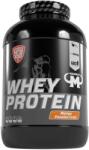 MAMMUT Pulbere de proteine din zer Mammut Nutrition Mango Passion Fruit, 3 kg - 1001532 (1001532)