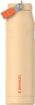 STANLEY 1913 Flip Straw, Sticlă cu pai, 1.06 L - Cană termică, păstrează rece timp de 17 ore - Lichide reci timp de 4 zile - Fără BPA - Etanșă - Pentru suporturi de pahare auto - Lavabilă în mașina de spălat 