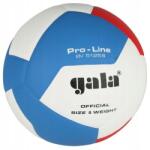 Gala Pro-Line BV5125S röplabdalabda, 5-ös méret (4416)