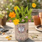 OOTB Cultiva flori de lunca