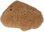 Cotton & Sweets Burete natural pentru copii Spongia S Cotton&Sweets