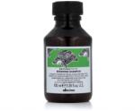Davines NaturalTech Renewing Shampoo 100 ml - parfimo