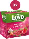 LOYD Piramida Tea cu zmeură și căpșuni 3x40g
