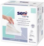 Seni Care air-laid törlőkendő 18x31.5cm 100 db (SE-981-R100-Z01)