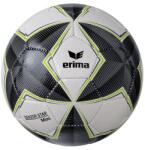 ERIMA SENZOR Star Match Mini Focilabda Unisex Gyerek - Fekete/Szürke