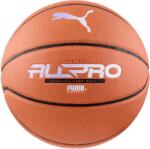 PUMA TEAMJAWS ALL PRO Maro, Alb 7 (08468601)