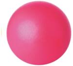 TREMBLAY PVC labda 26cm rózsaszín (FI011R)