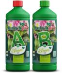 DUTCHPRO Soil Bloom A+B Volum: 1 l