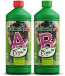 DUTCHPRO Soil Grow A+B Volum: 1 l