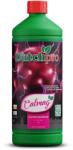 DUTCHPRO CalMag Volum: 1 l