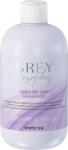 Inebrya Grey By Day Sampon 300 ml