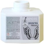 Proandre Odorizant camera ulei esential - Victus 250 ml (NEB-INV)