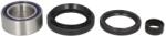 ALL BALLS Kit Rulment Roata Fata (diametru Interior: 30mm/Diametru Exterior: 50mm/Inaltime: 20mm cu Etansanti) Honda Trx 350/400 (25-1513)