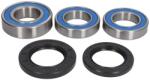 ALL BALLS Kit Rulment Roata Spate (cu Etansanti) Honda Rvf Suzuki Gsx Gsx-r Tl 600-1300 1993-2007 HONDA RVF SUZUKI GSX/GSX-R/TL (25-1039)