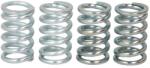 FERODO Set Arcuri Ambreiaj Honda Cb Cr Crm H Mb Mt Mtx Ns-1 Nsr Kawasaki Klf Suzuki Lt Lt-f 50-500 HONDA CB/CR/CRM/H/MB/MT/MTX (FSS0402)