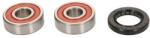 TOURMAX Kit Rulment Roata Fata (cu Garnitura) Honda Fes Sa Ses 75-250 1989-2009 HONDA FES/SA/SES (WBK-409)