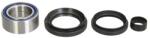 4 RIDE Kit Rulment Roata Fata (cu Etansanti) Honda Trx 420 2008-2010 HONDA TRX (AB25-1621)
