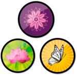 Nikidom Insigne, 3buc/set, Roller NIKIDOM - Spring (ND-9123)