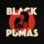 MG Records Zrt Black Pumas - (Vinyl LP (nagylemez)) (5400863011536)
