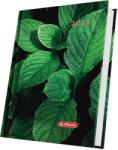 Herlitz Agenda Herlitz datata 2027, A5, Motive, 352 pagini, coperta buretata, motiv Green HZ400216611