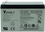 Yuasa YuVolt 12V 12 Ah FR (103219)