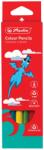 Herlitz Creioane colorate Herlitz Jumbo 6 culori, triunghiulare (9498540)