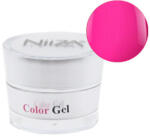  NiiZA ColorGel #01