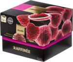 chocoMe - Raffinée Málna 120 g