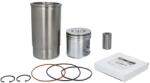 FP DIESEL Piston cu Camasa Set (106, 5mm) 4045h 4045t 6068h 6068t Claas 410 420 430 540 John Deere 1010d 1050 1165 1175h 1450 1470 (RE507850-FP)