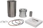 FP DIESEL Piston cu Camasa Set 4045d 4045h 4045t 6068h 6068t Claas 410 420 430 540 CLAAS ARION (RE507920-FP)