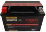 FAAM AGM 12Ah 120A
