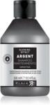 Black Professional Line Argent Shampoo șampon fortifiant pentru păr deteriorat pentru par lipsit de viata 300 ml