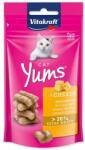 Vitakraft Cat Yums trata cu branza 40g (493-2428821) - raijucarii