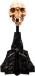 Weta Workshop Lord of the Rings - Craniul unui Orc din Moria Miniatură (861304429) Figurina