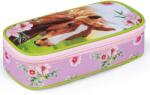 KARTON P+P Case etue confort cal (7-82423) Penar